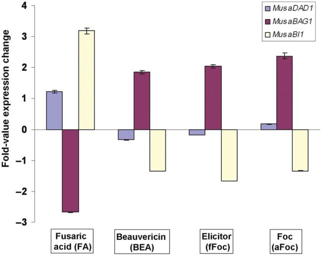 Figure 1.