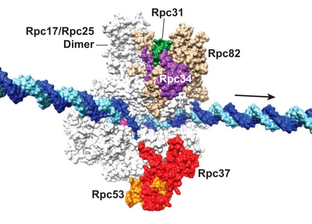 FIGURE 10.