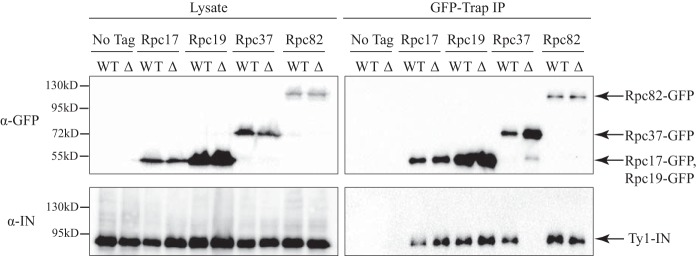 FIGURE 9.