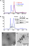 Fig. 5.