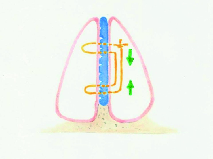 Fig. 6.