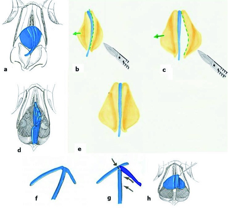 Fig. 9.