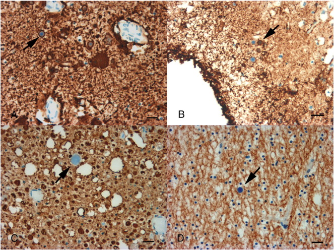 Fig. 2