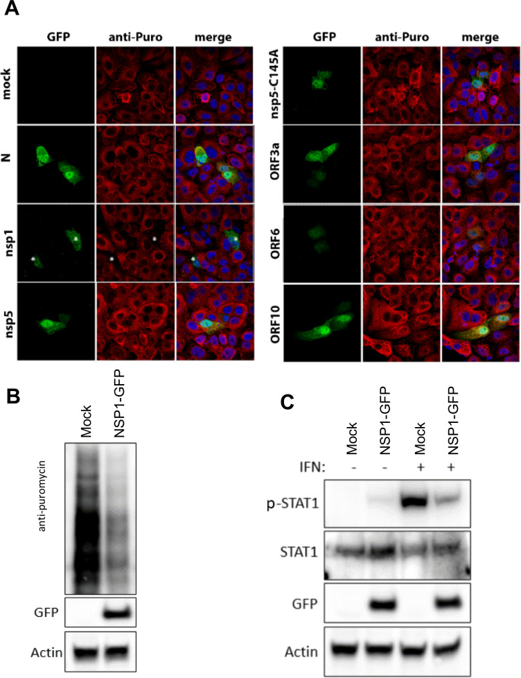 Fig 10