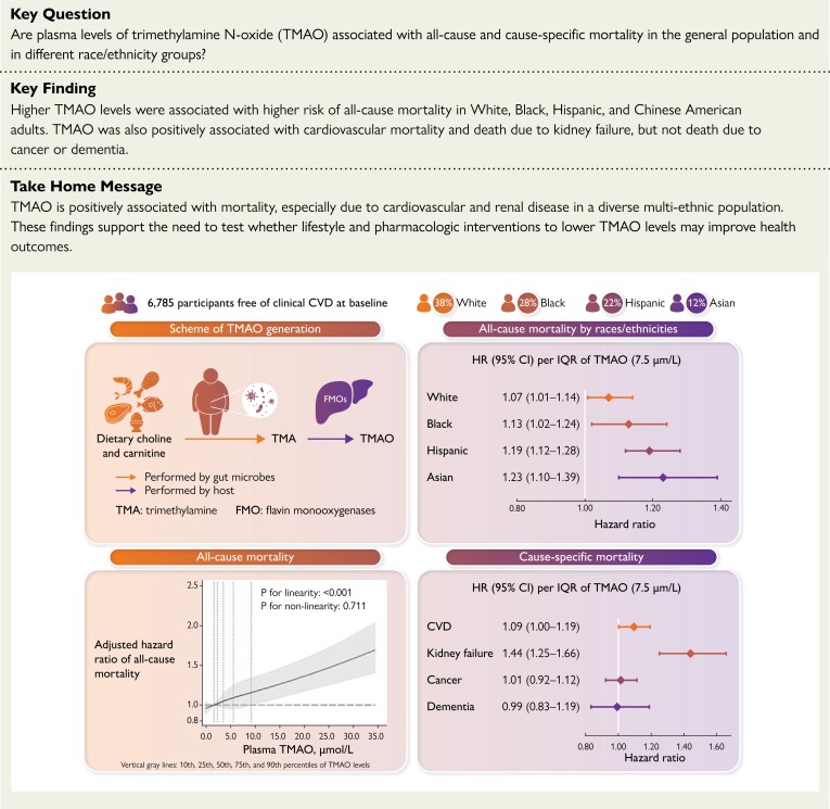 Structured Graphical Abstract