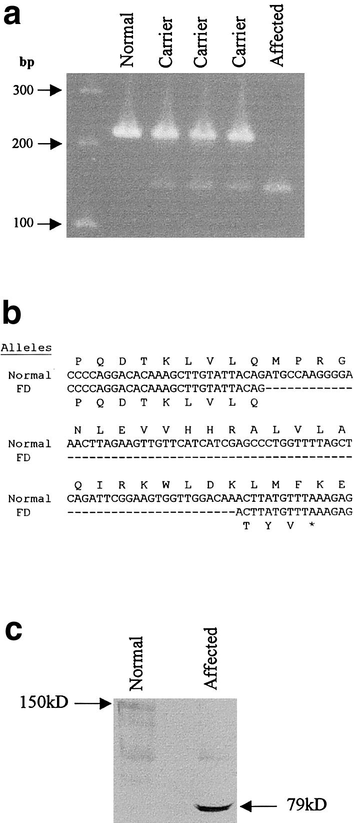 Figure  1