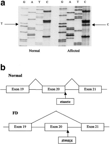 Figure  2