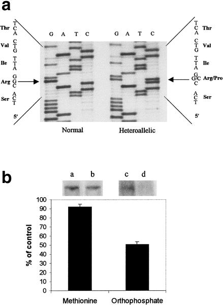 Figure  3