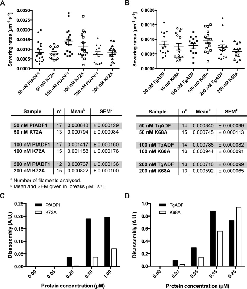 FIGURE 6: