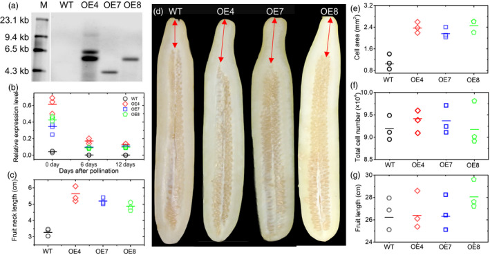 Figure 5