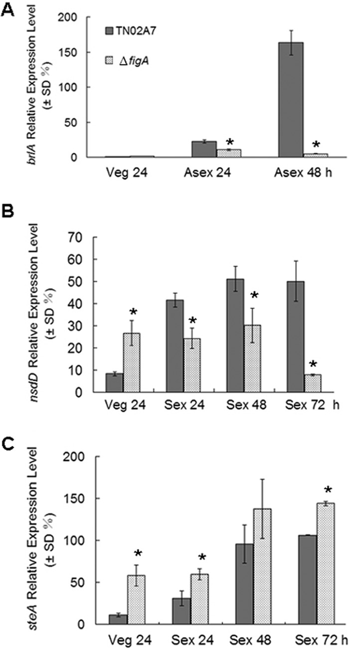 FIG 6