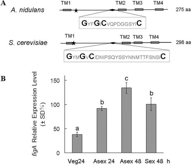 FIG 1