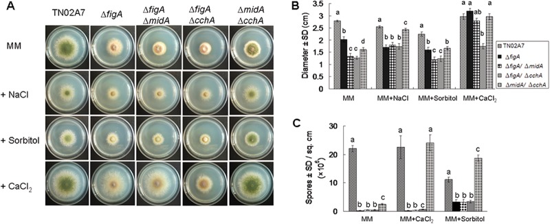 FIG 2