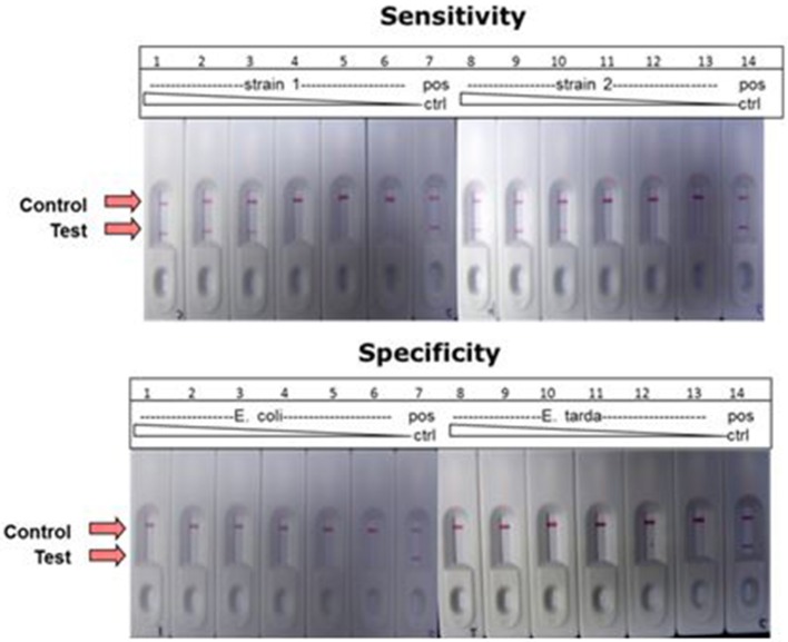 Figure 10