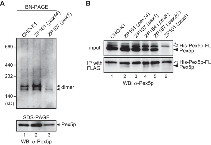 FIGURE 9.