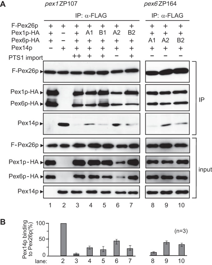 FIGURE 7.