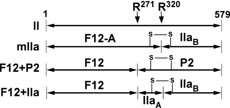 SCHEME 1.