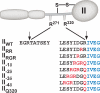 SCHEME 2.