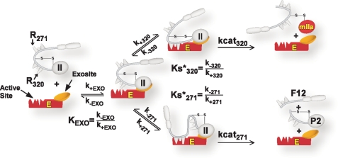 SCHEME 3.