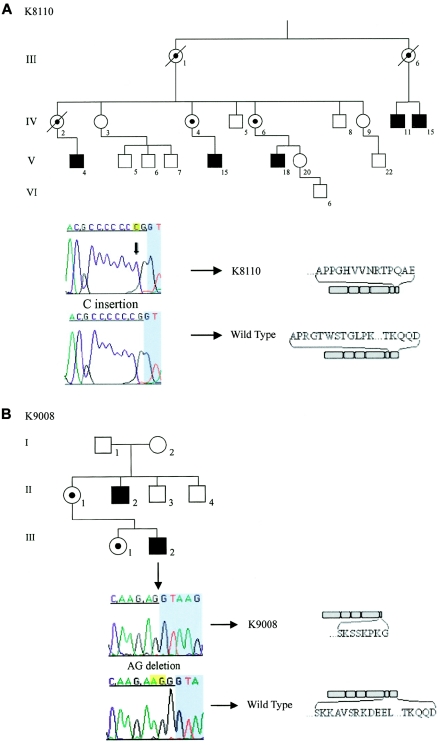 Figure  1