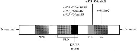 Figure  2