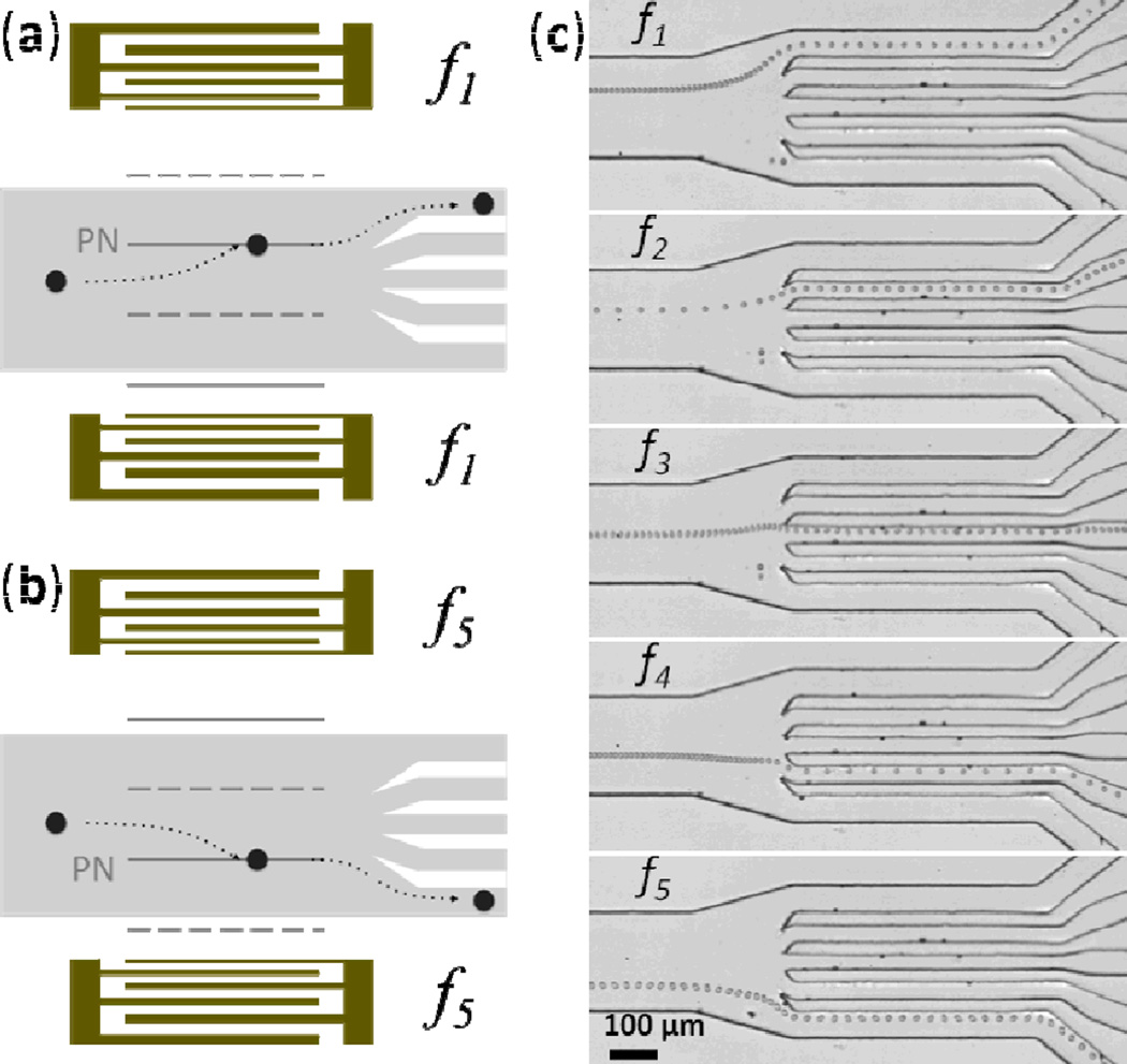 Fig. 19