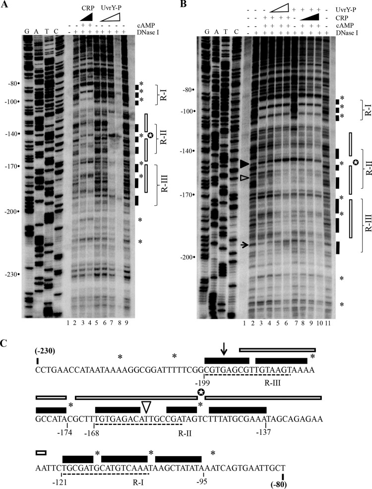 FIG 6