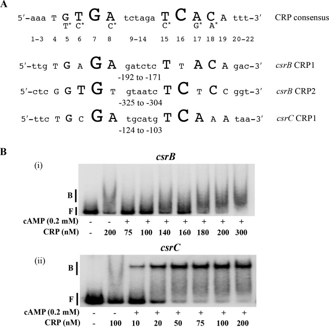 FIG 5