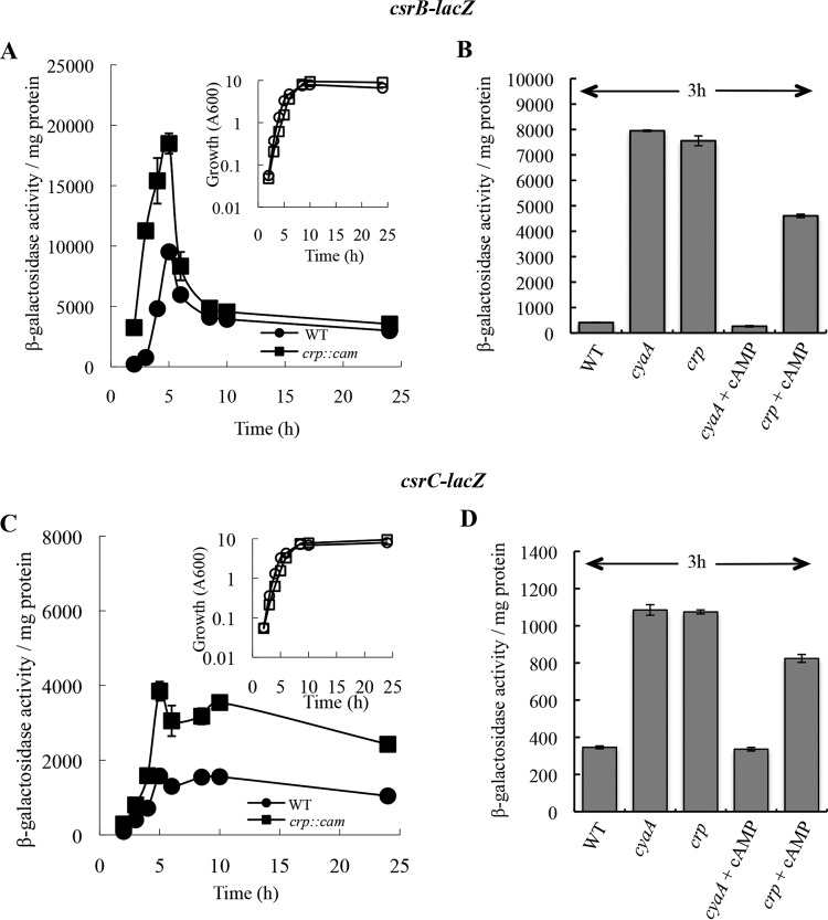 FIG 1