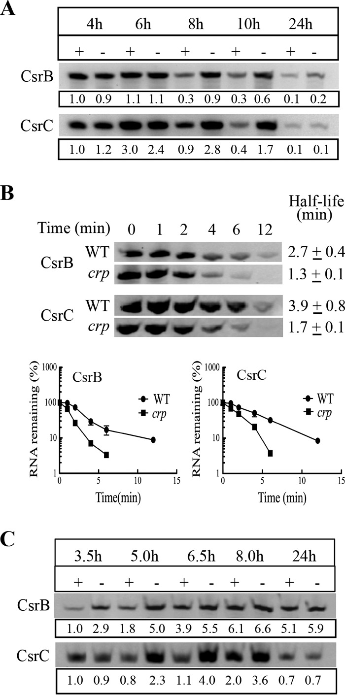 FIG 2