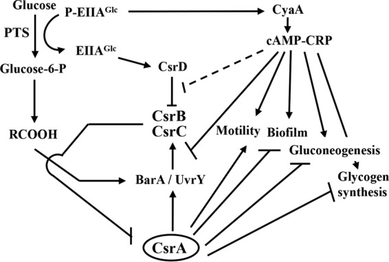 FIG 10