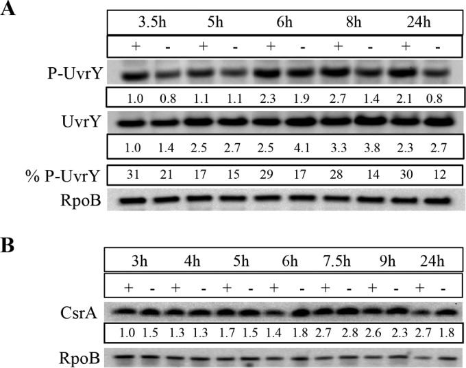 FIG 4