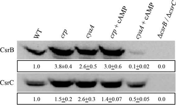 FIG 3