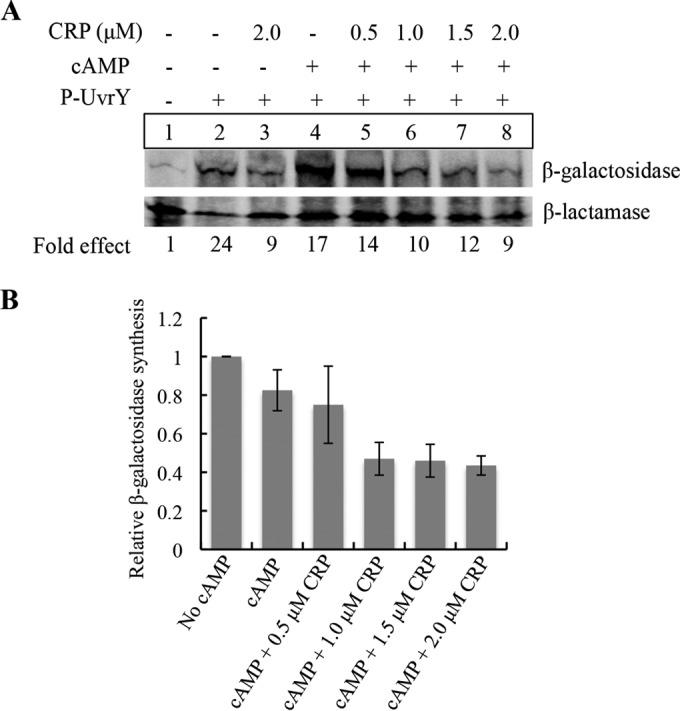 FIG 7