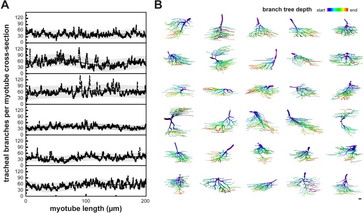 Figure 1—figure supplement 1.