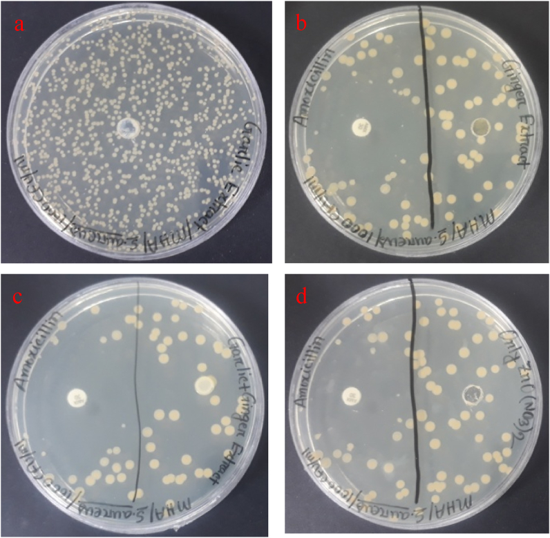 Fig. 13