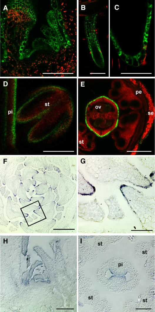 Figure 9.