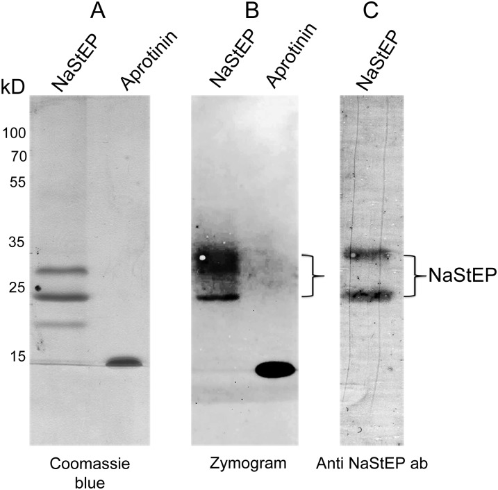 Figure 7.