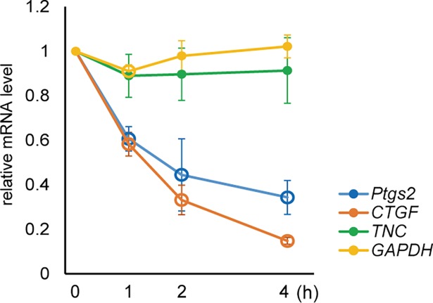 Fig 5