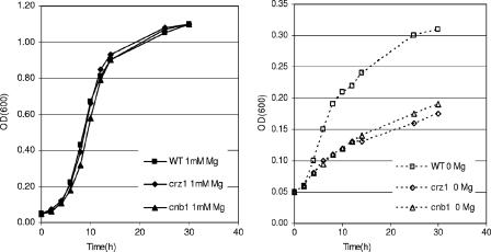 FIG. 4.