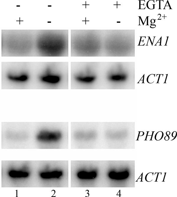 FIG. 5.