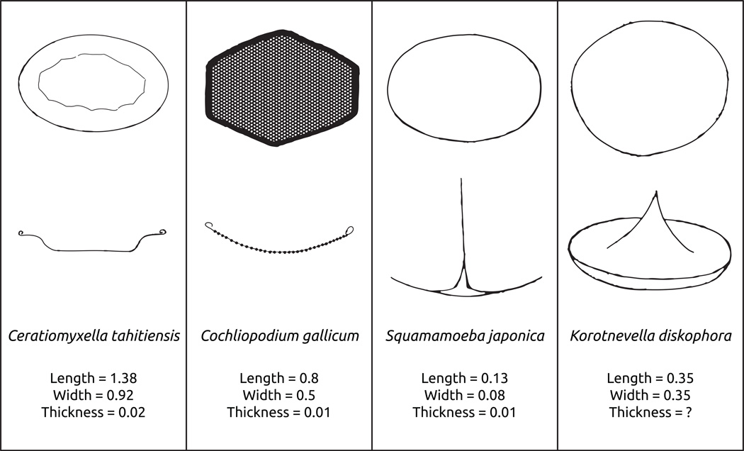 Fig. 7