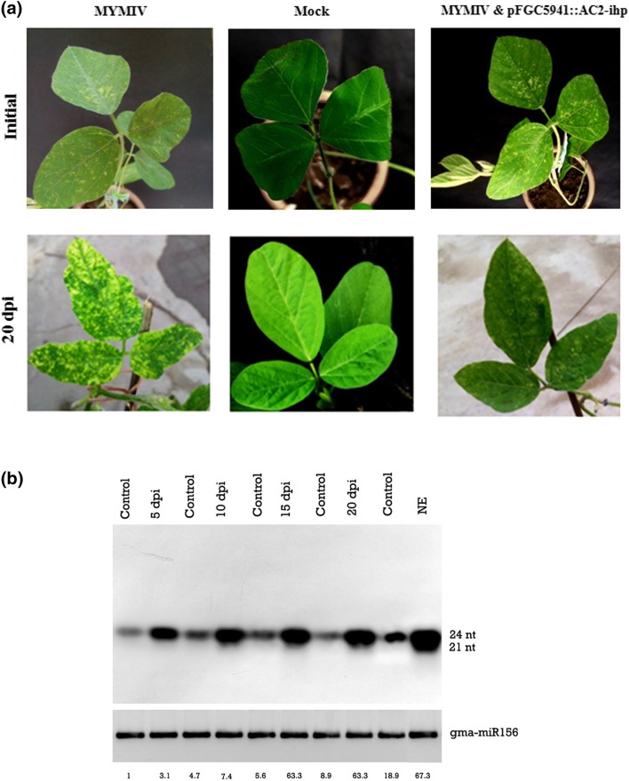 Fig. 2