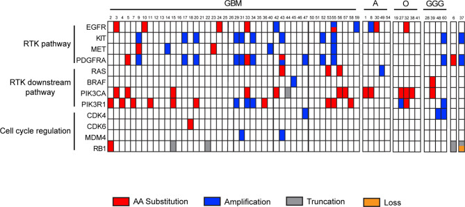 Figure 6