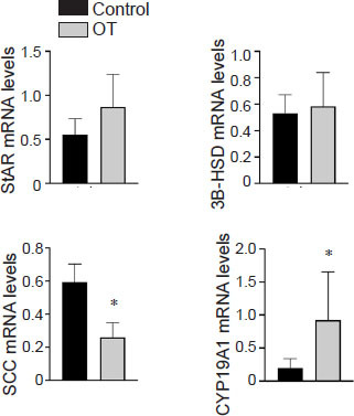 Figure 2: