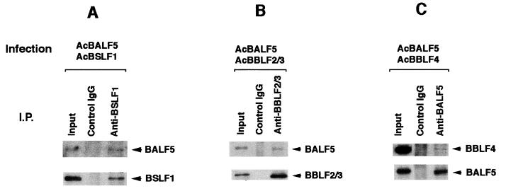 FIG. 5