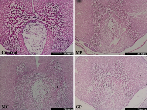 Fig. 2