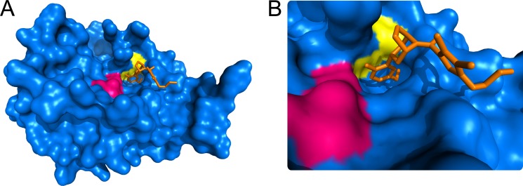 FIGURE 7.