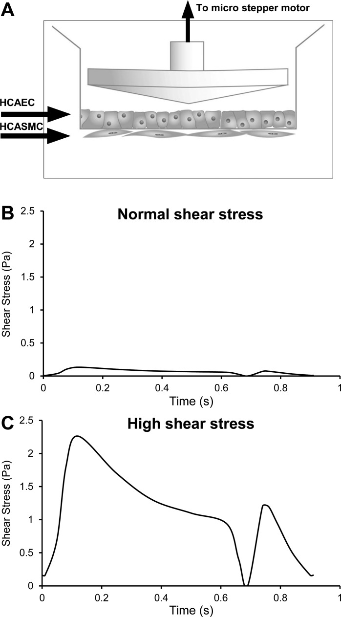 Fig. 1.