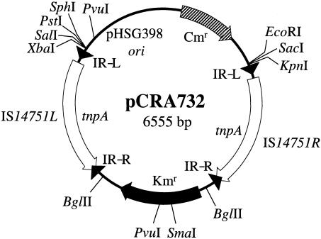 FIG. 7.